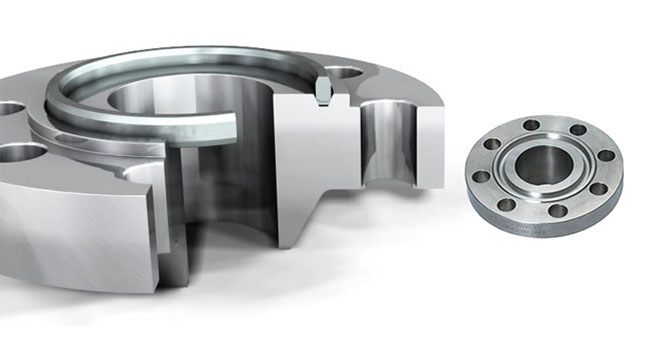 فلنج رینگ جوینت RTJ